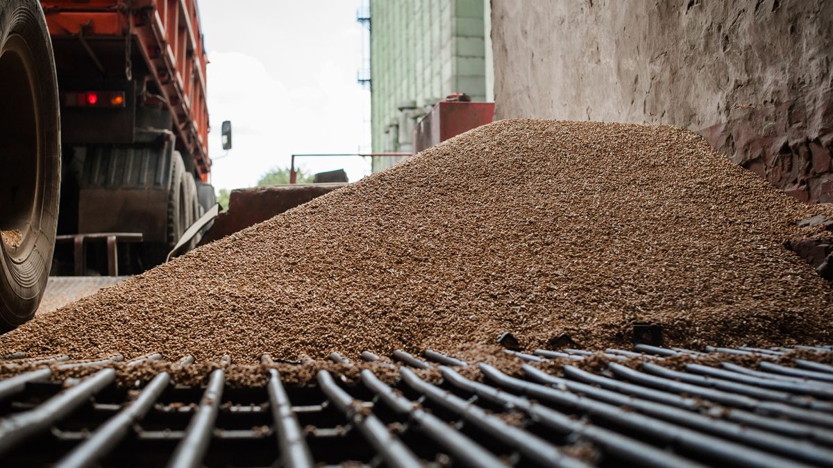 Зерновий скандал із Ізраїлем: ексчлен парламенту НАТО відповів, як він …