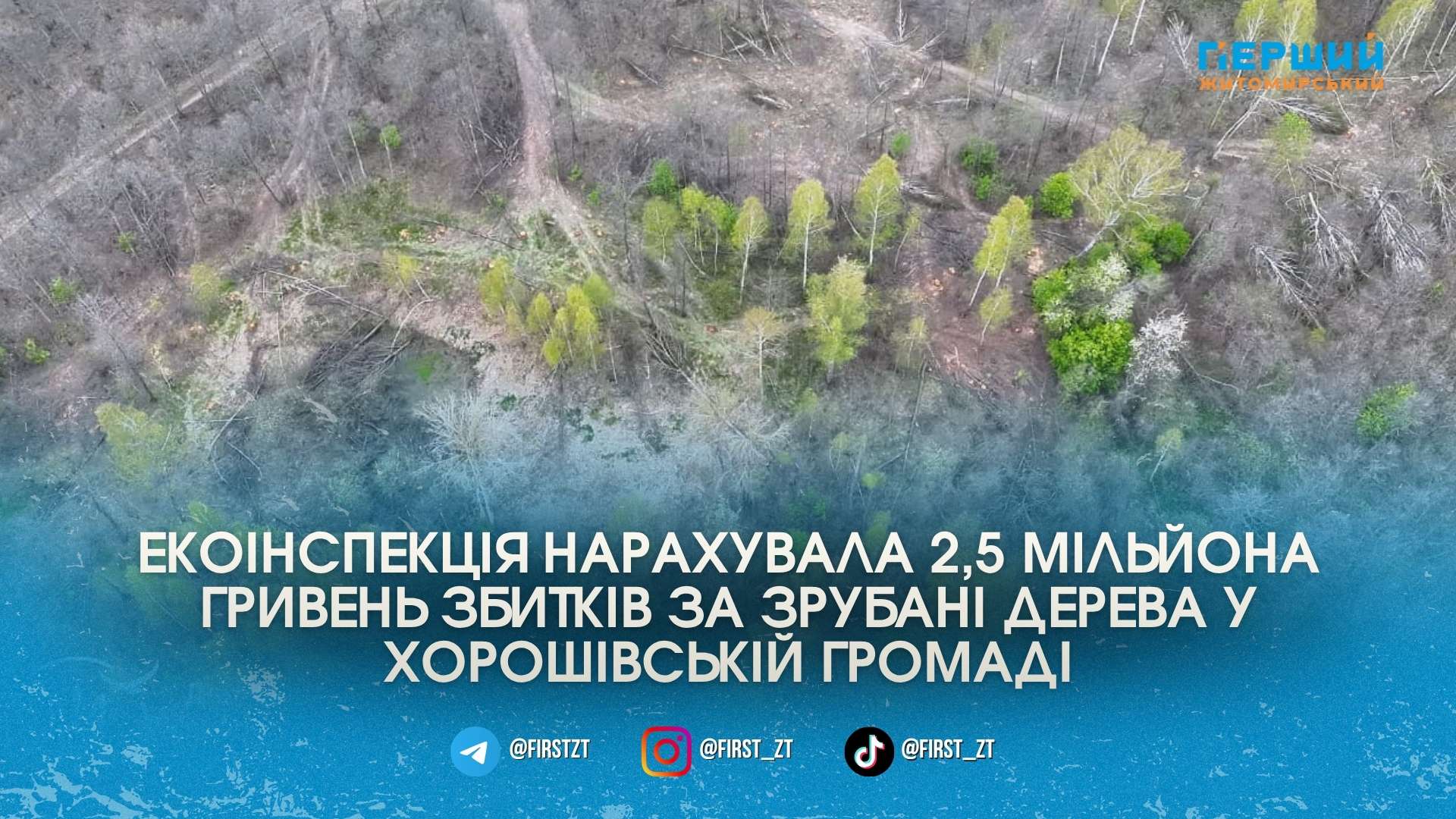 Зрубали на 2,5 мільйона: на Житомирщині екоінспектори викрили масштабний лісоповал