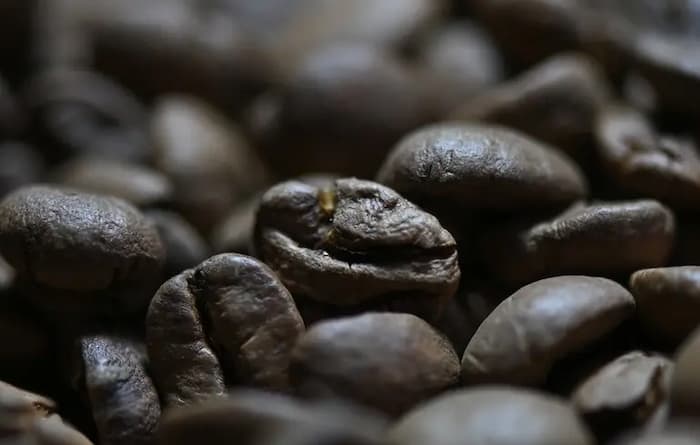 Кава без кофеїну покращує настрій і роботу мозку: висновки ірландських …