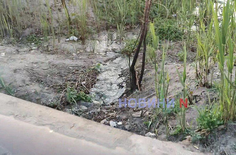 Каналізаційні води знову заливають єдине у Миколаєві озеро (фото)
