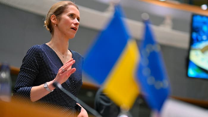 Кая Каллас окреслила напрямки 21-го пакету санкцій ЄС проти Росії