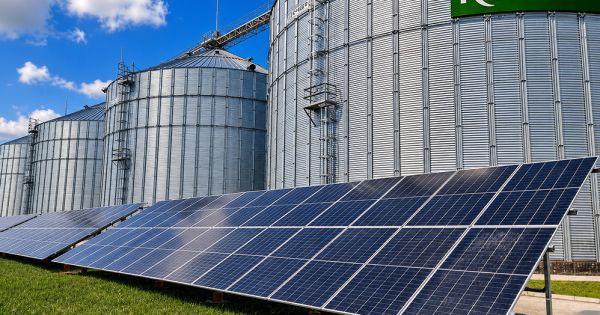 Кернел запускає сонячні електростанції на елеваторах, надлишки продаватиме в мережу