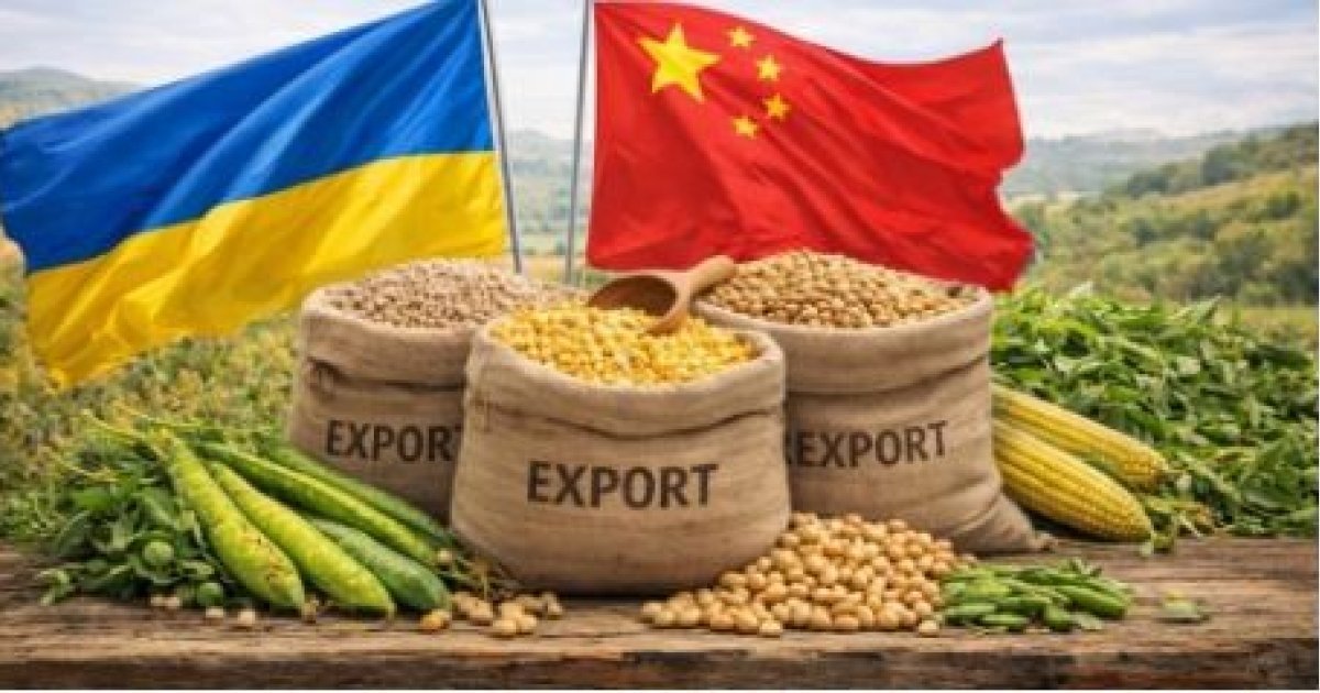 Китай висуває суворі вимоги до зернових, які планують експортувати з …