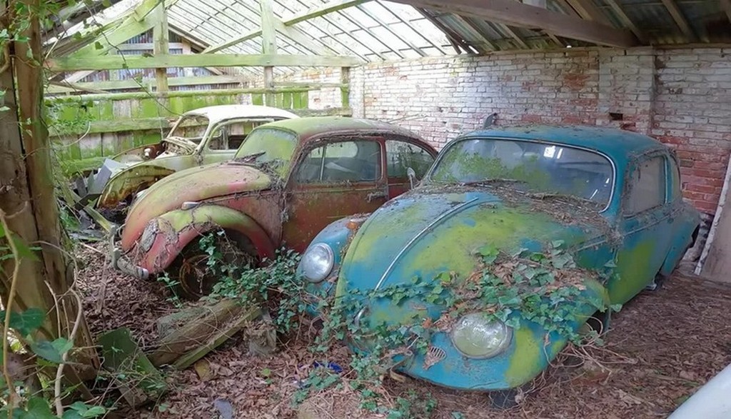 Кладовище "Жуків": на занедбаному складі виявили покинуту колекцію Volkswagen (ВІДЕО)