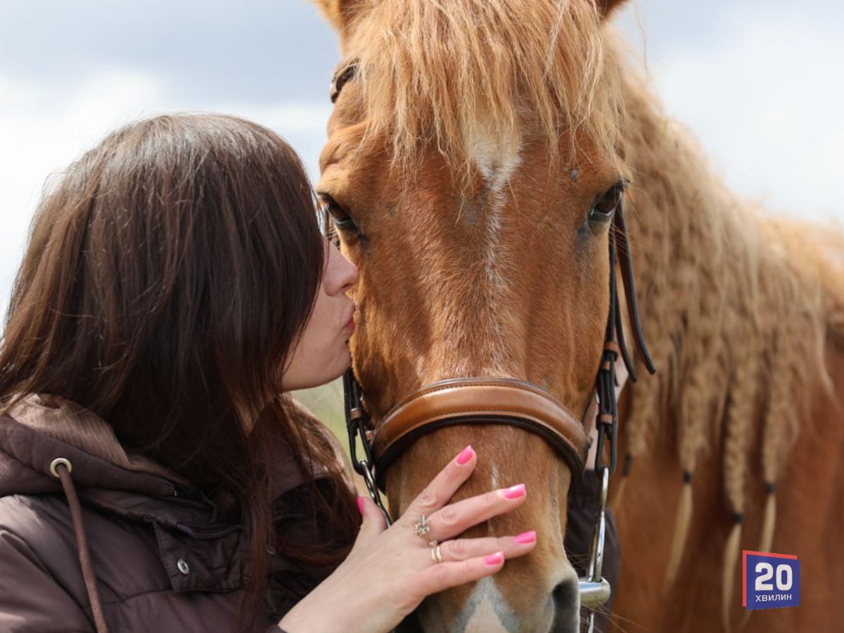 Коні лікують: як на Вінниччині відновлюють поранених захисників
