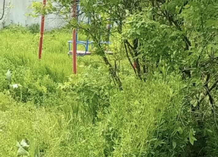 Косарів немає — у Мелітополі дитячі майданчики заросли травою