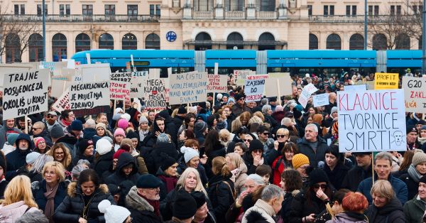 Косюк розповів, чому МХП відмовився від будівництва птахівничого комплексу в …