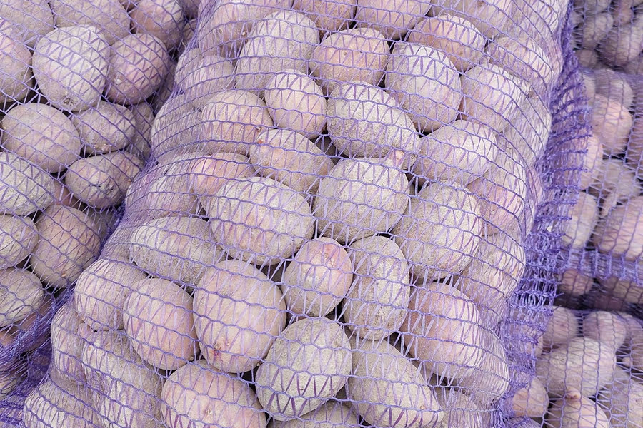 На Сумщині селяни обурені цінами на закупівлю старої картоплі