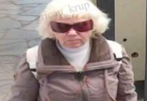 Криворізькі правоохоронці встановлюють особу жінки, причетної до крадіжки