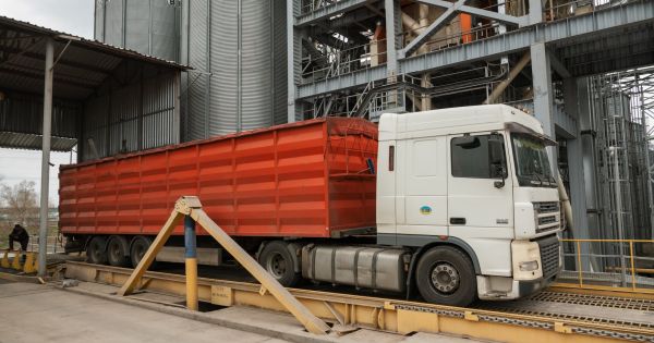Кукурудза минулого тижня сформувала понад 70% автоперевезень зерна до портів …