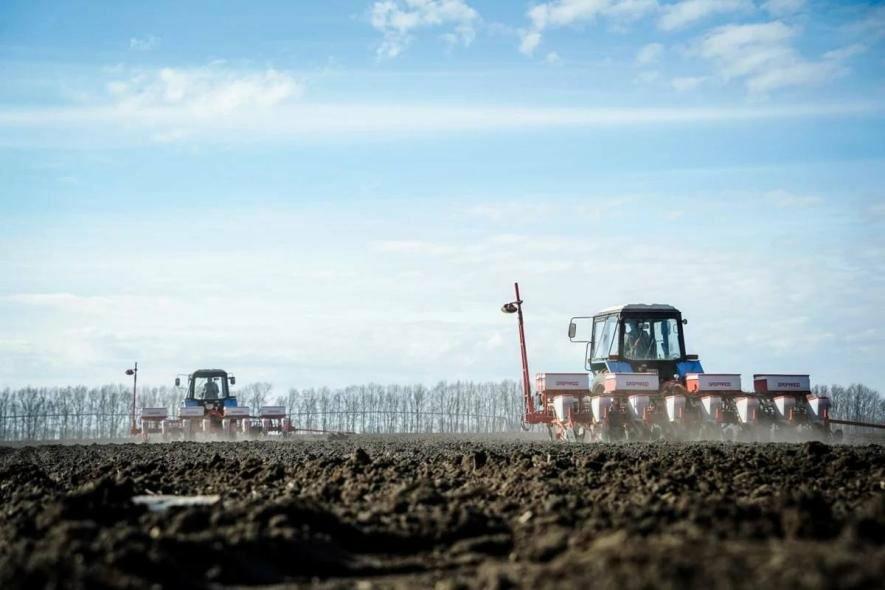 Кукурудза, соняшник і соя лідирують: як триває посівна на Чернігівщині