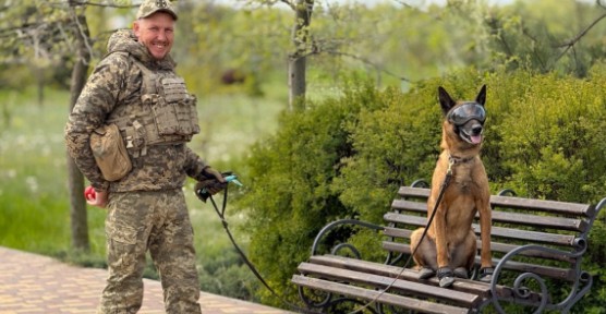 Кінолог з Одеського регіону працює зі службовим собакою Нагіром: розповідь …