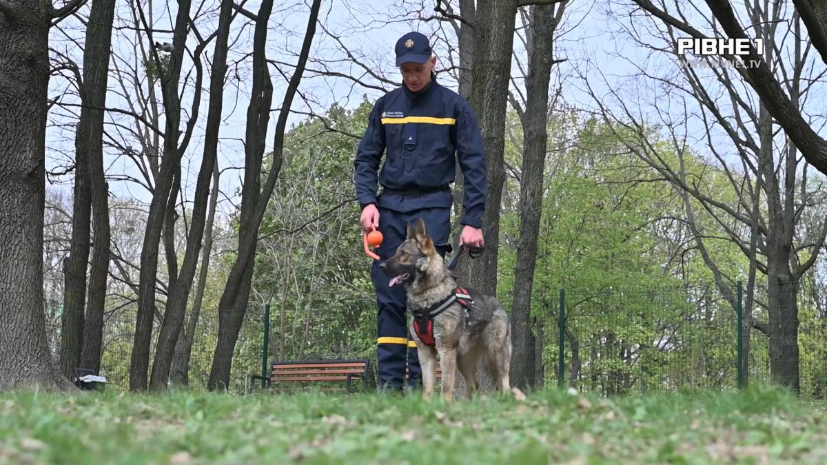 Луна та Нагайна: в ГУ ДСНС Рівненщини з`явилися нові хвостаті …