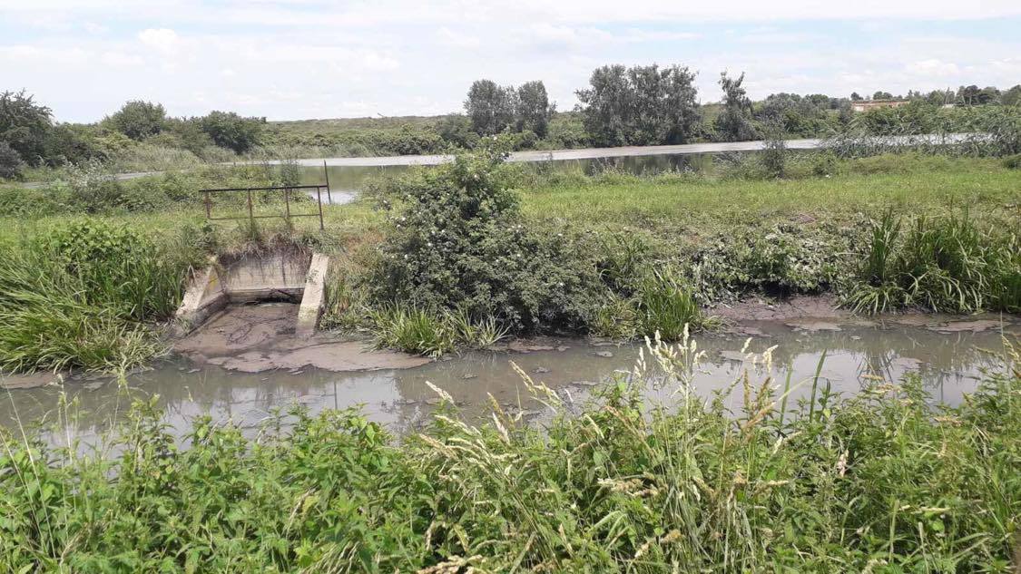 Луцькводоканал зобов’язали відшкодувати за загибель риби у Стиру понад вісім …