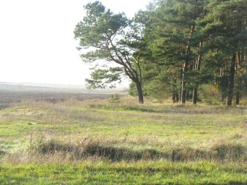 Львівське лісництво відмовляється від мисливських угідь площею понад шість тисяч …