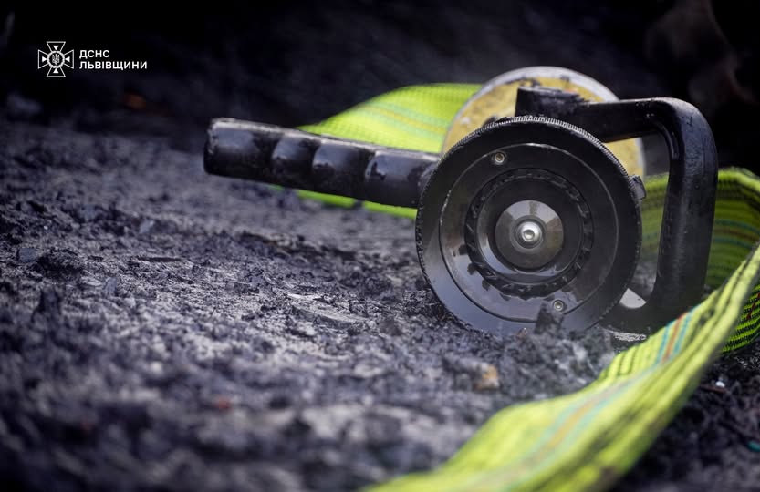 Львівщина у вогні: рятувальники ліквідували 20 займань в екосистемах