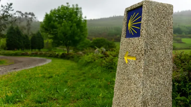Львів стане кінцевою точкою паломницького маршруту Camino Ruteno, який створюють …