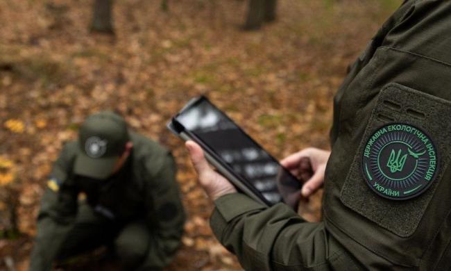 Лісівники відшкодували сільраді понад 370 тис. грн за зрубаний в …