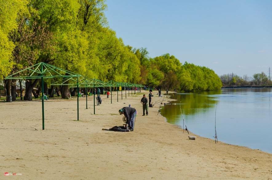 Майже мільйон на пляжі: у Чернігові оголосили тендер на благоустрій …