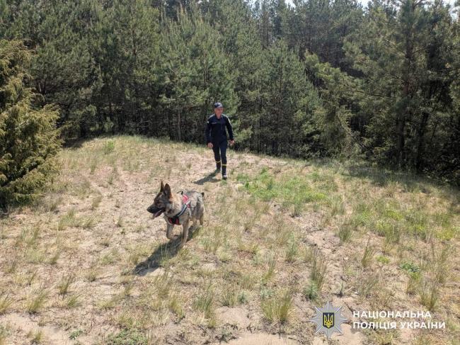 Майже три доби блукав у лісі: на Рівненщині розшукали зниклого …