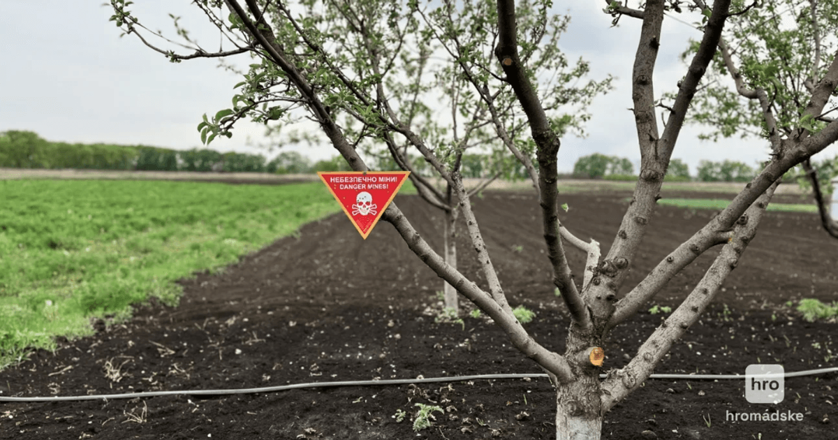 Майже чверть території України замінована. На розмінування знадобиться не менше …