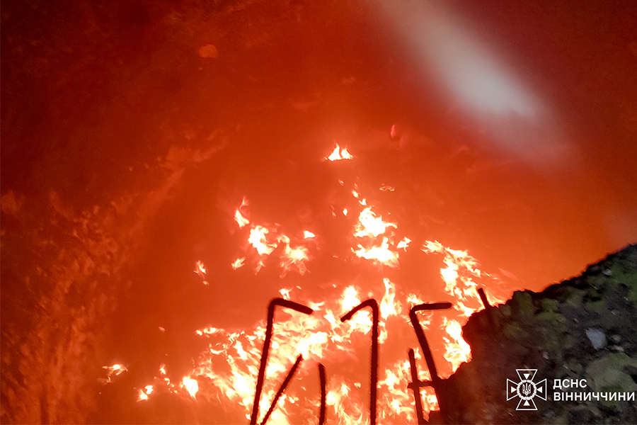 Майже 250 га на Вінниччині пошкодив вогонь з початку року