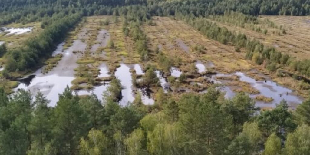 Майже 300 родовищ — на Рівненщині запроваджують особливі правила користування …