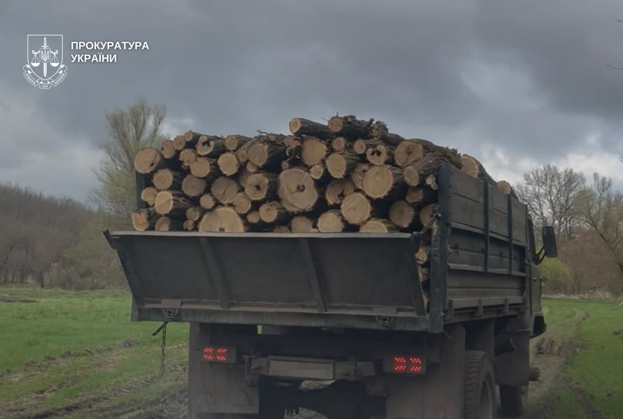 Майже 3 млн грн збитків через незаконну вирубку дерев: на …