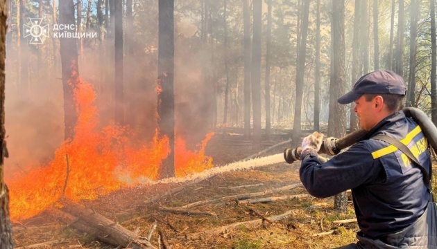 Лісова пожежа в Чорнобильській зоні: вогонь пройшов 1200 гектарів