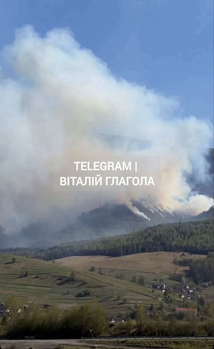 Масштабна пожежа на Закарпатті: вогонь охопив десятки гектарів лісу