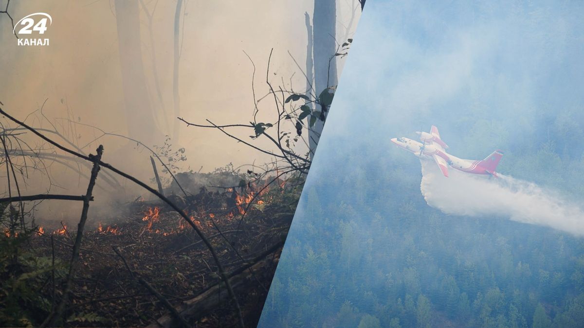 Масштабна пожежа на Закарпатті могла бути підпалом на замовлення росіян, …