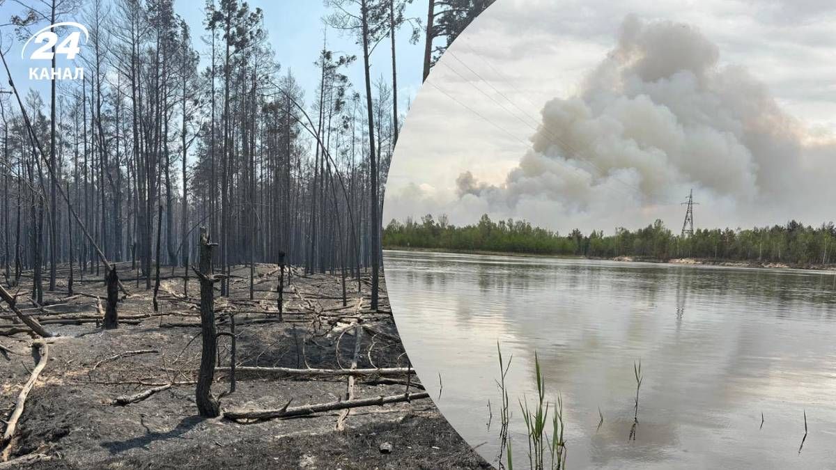 Масштабна пожежа у зоні відчуження поширюється далі: ДСНС розповіла про ситуацію