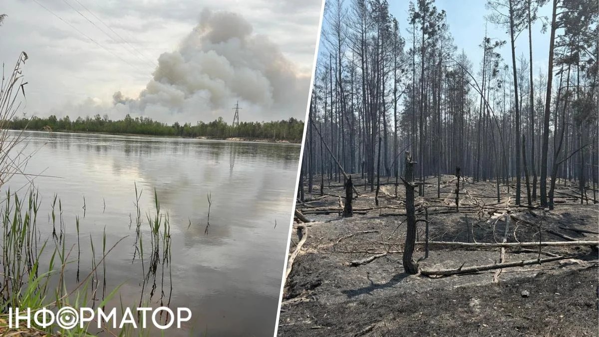 Масштабну пожежу біля Чорнобиля не можуть стримати: її площа зростає