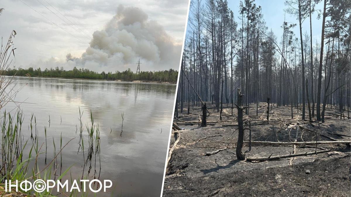 У Чорнобильській зоні досі гасять масштабну лісову пожежу: вогонь поширився …