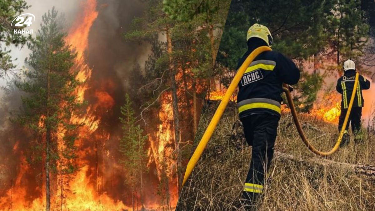 Масштабні пожежі продовжують вирувати в Україні: які області "горять"