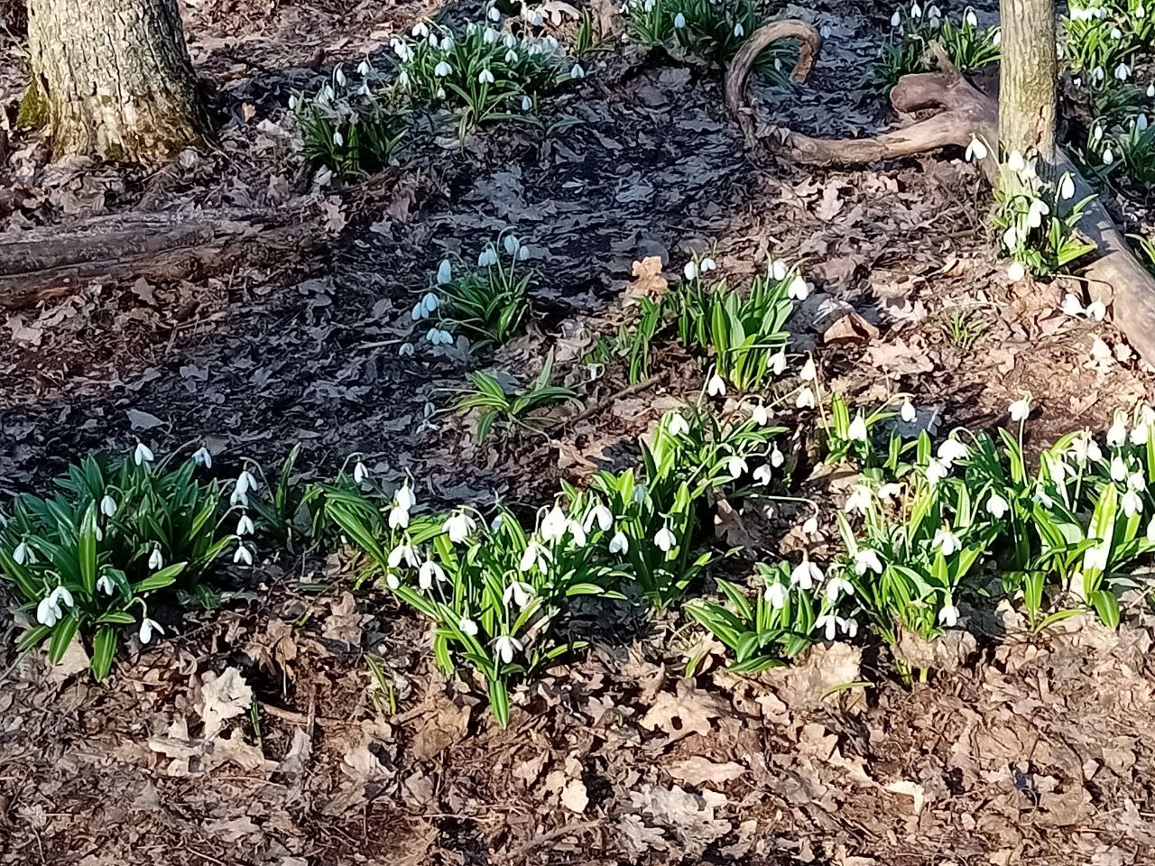 Ментальне відновлення і єдність: родини військових 118-ої ТрО відвідали Холодний …