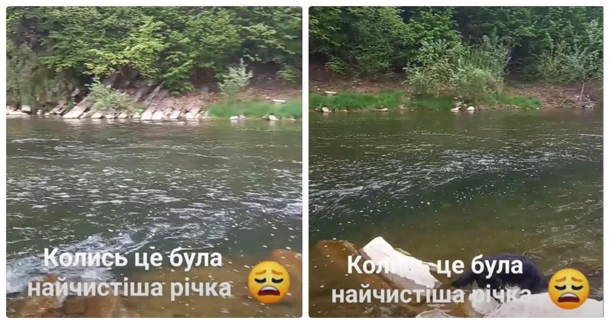 Мешканець Яремче показав забруднення річки Прут: скаржиться на неприродний колір …