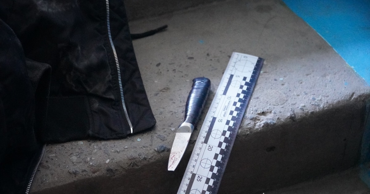 Мовчання підозрюваної та чутки про булінг: поліція шукає причини замаху …