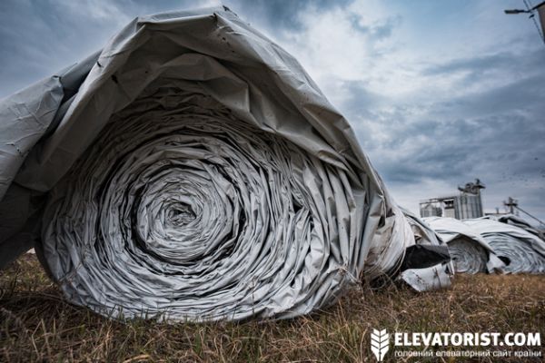 Міжнародна компанія планує запустити в Україні замкнений цикл переробки зернових …