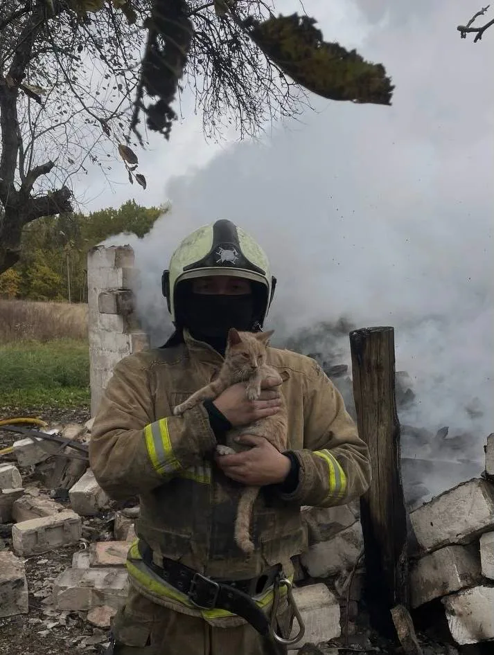 Між вогнем і вибухами: як війна змінила будні українських рятувальників
