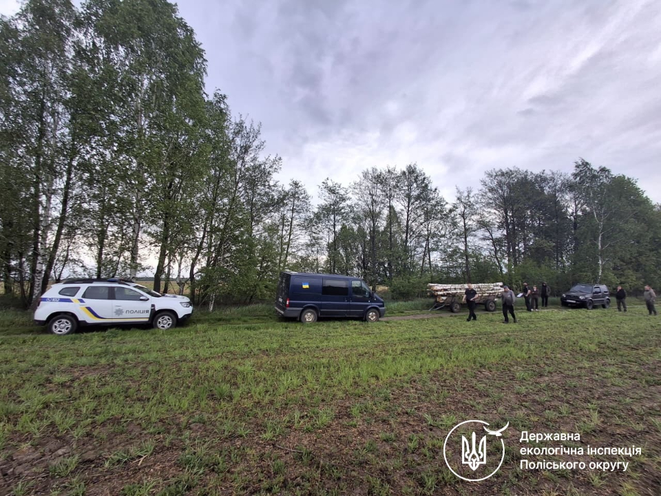 Між селами в Житомирській області екоінспектори виявили незаконну порубку берези …