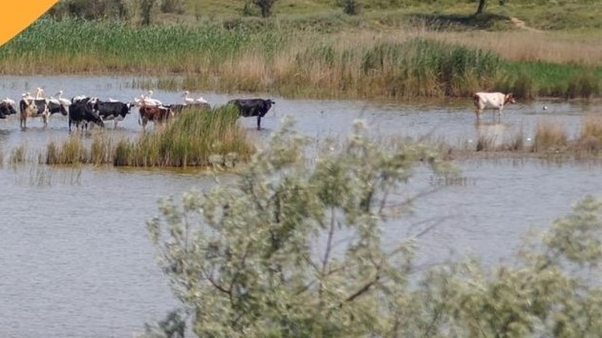Мінекономіки попереджає про примусове наповнення придунайських озер через загрозу маловоддя