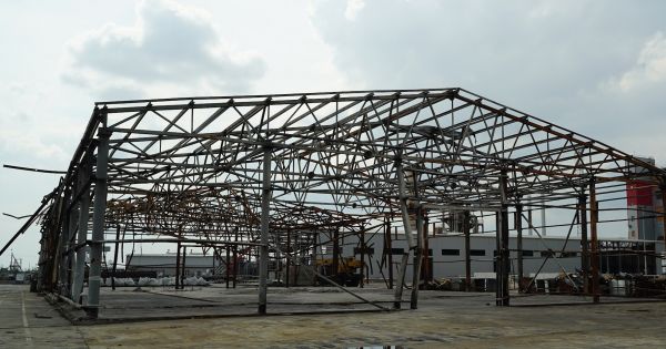 Харківщина втратила до 60 тваринницьких підприємств через війну — ОВА