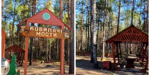 Місце, де застрягали коні: посеред лісу на Волині причаївся пункт …