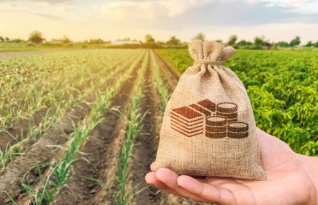 Міськрада на Рівненщині виставила на продаж понад 8 гектарів землі