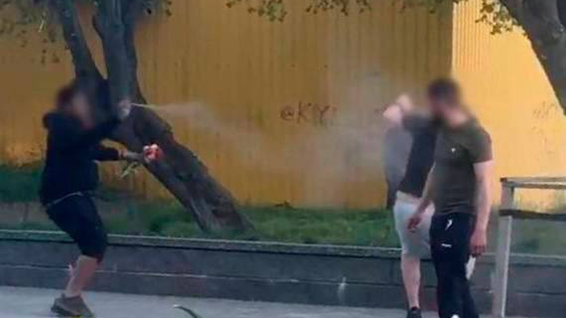 Напав на поліцейського в парку: киянину загрожує 5 років
