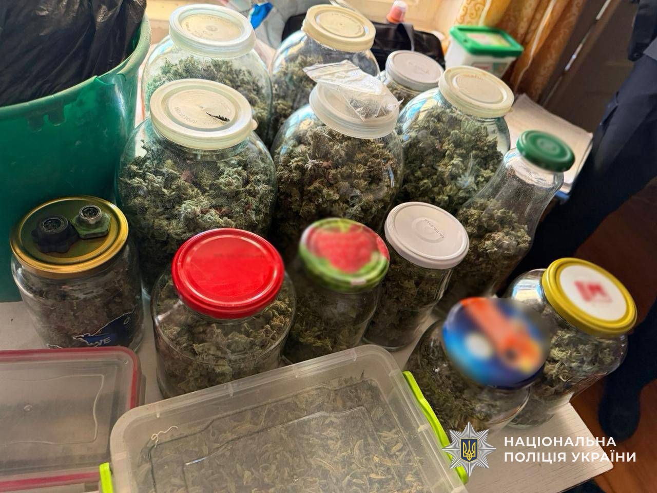 Нарколабораторія на Закарпатті: поліція затримала організатора та спільників