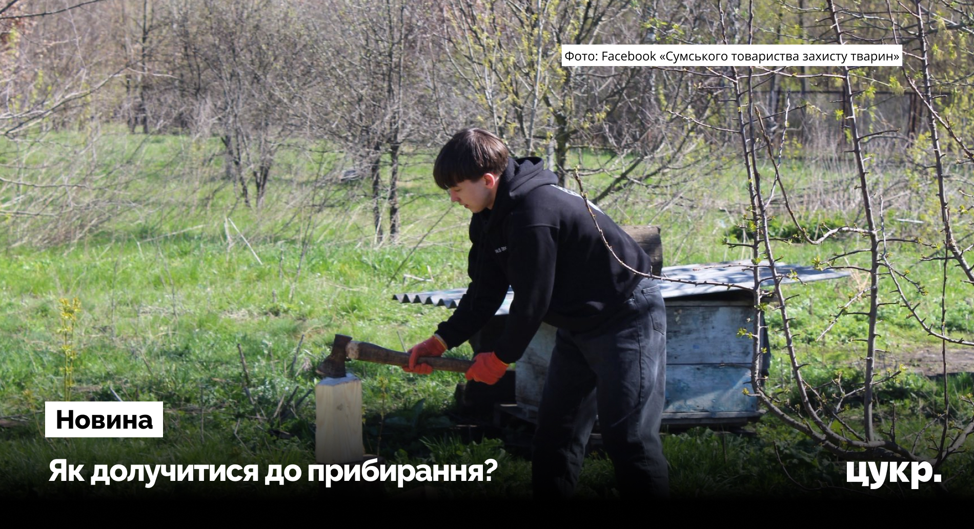 У Сумах організовують прибирання в притулку, де живуть близько 500 …