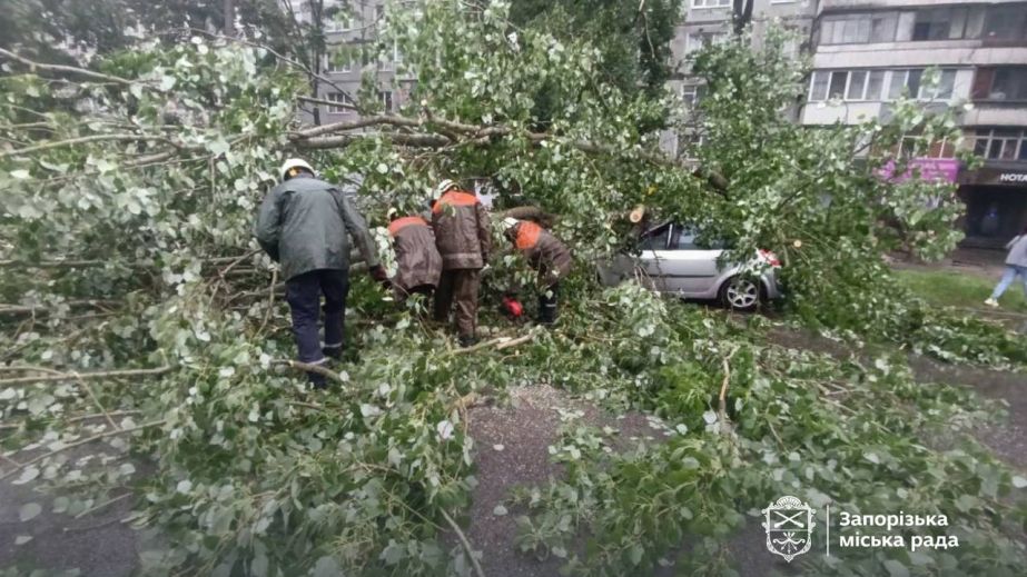 Буревій у Запоріжжі повалив дерева та понівечив автомобілі – кадри