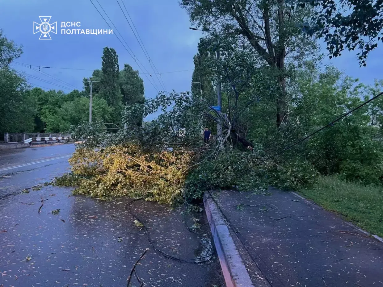 Повалені дерева і десятки виїздів: наслідки негоди у Полтаві